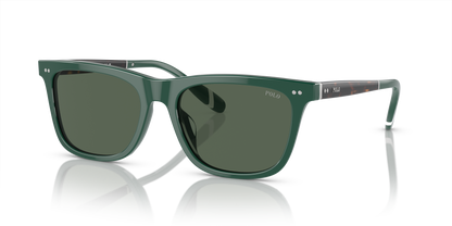 POLO PH4205U 614171 56