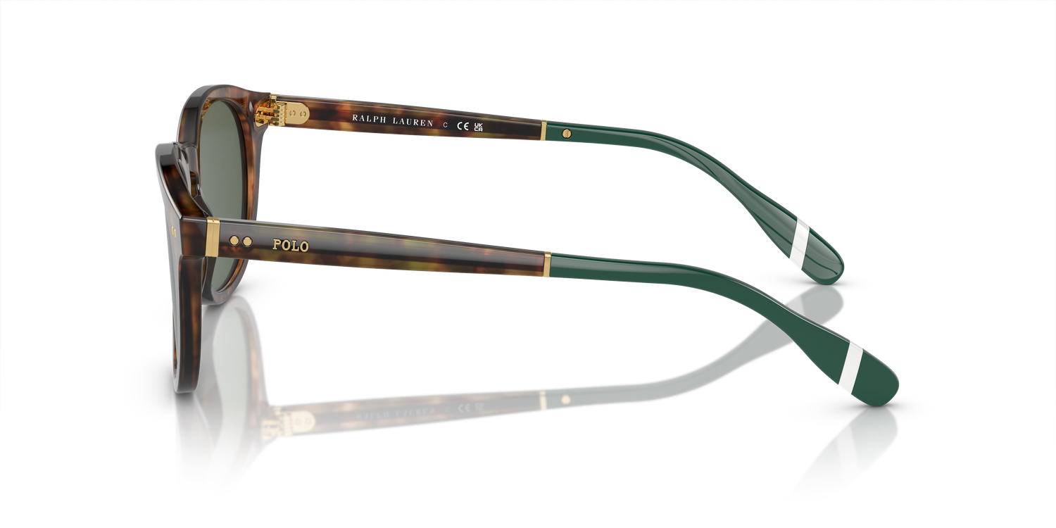 POLO PH4206 501771 52