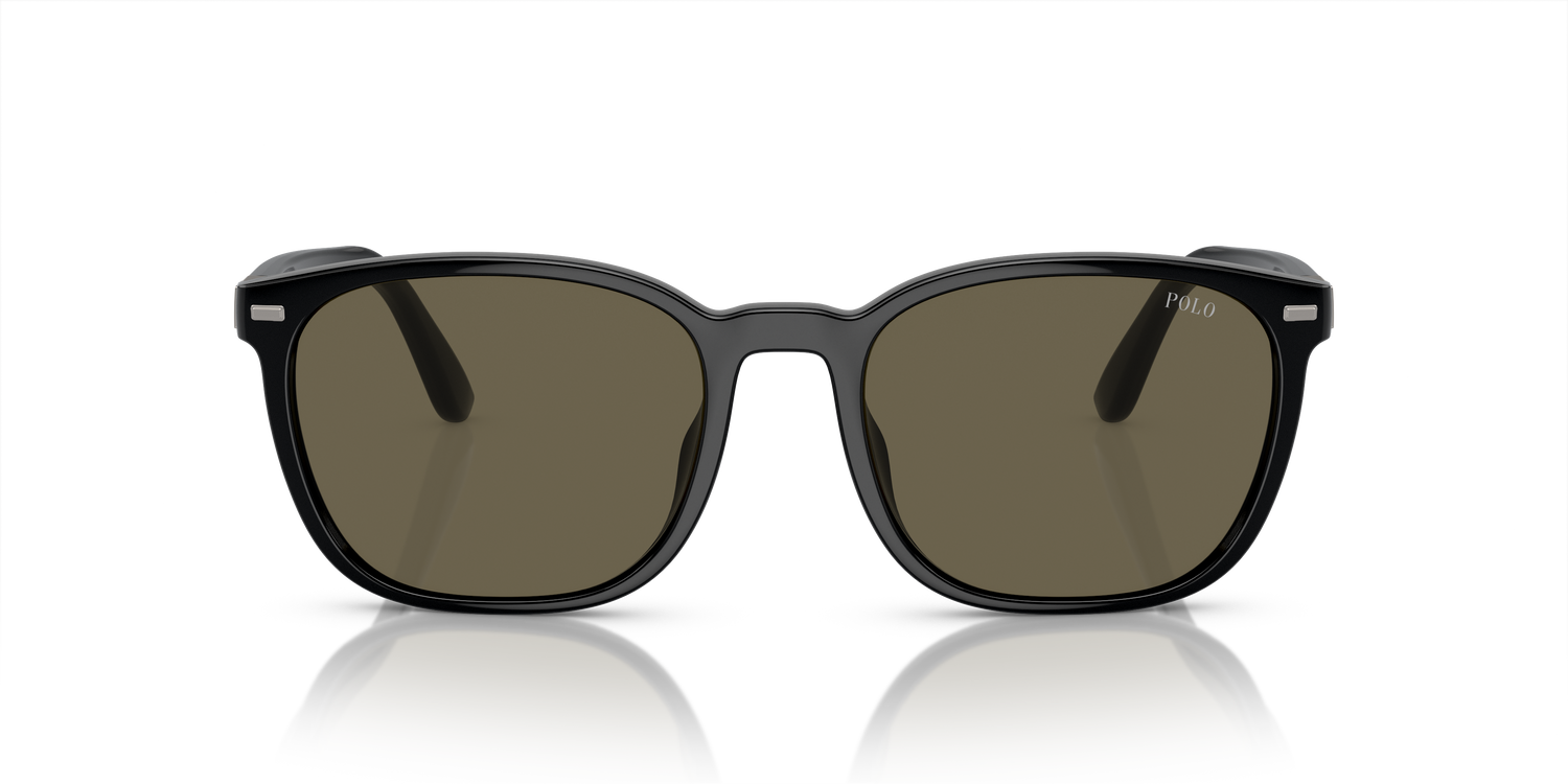 POLO PH4208U 5001/3 55