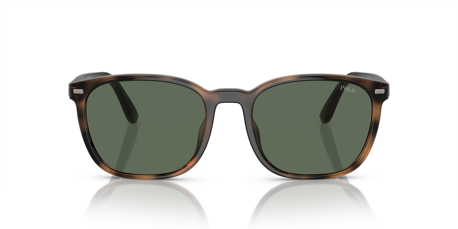 POLO PH4208U 597471 55