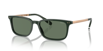 POLO PH4212 614071 55