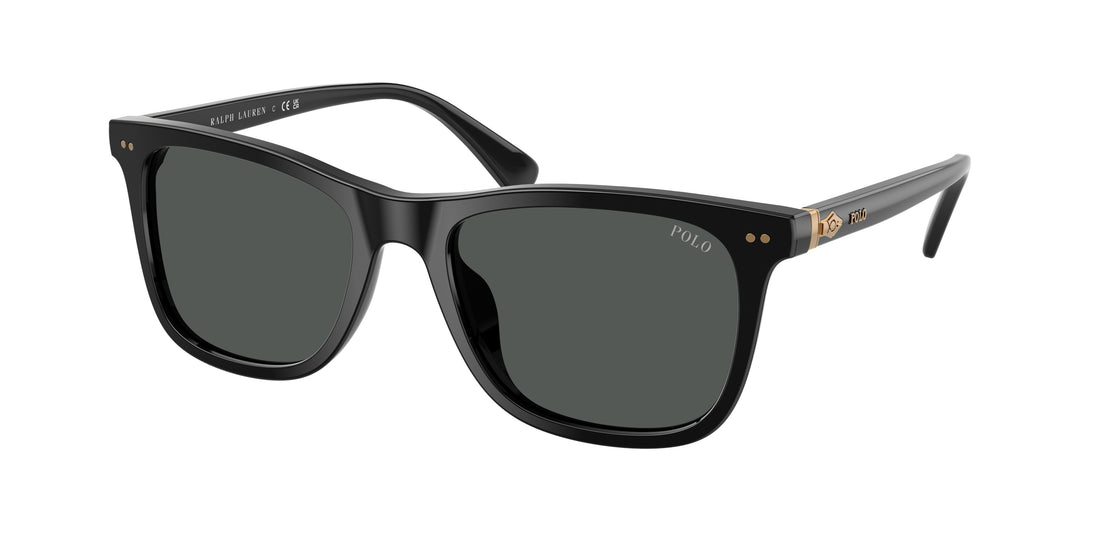 Occhiali da sole polo ph4220u 500187 negro square masculino taglia 55mm - Vista principale