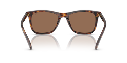 POLO PH4220U 613773 55