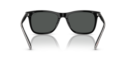 POLO PH4220U 620287 55