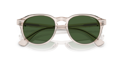 POLO PH4221 611771 52