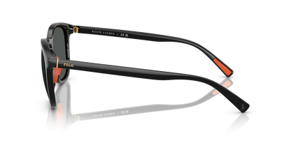 POLO PH4222U 500187 52