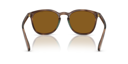 POLO PH4222U 500383 52