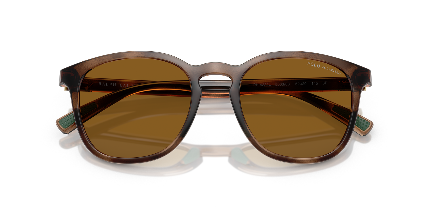 POLO PH4222U 500383 52