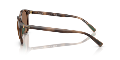 POLO PH4222U 597473 52