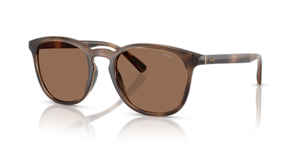 POLO PH4222U 597473 52