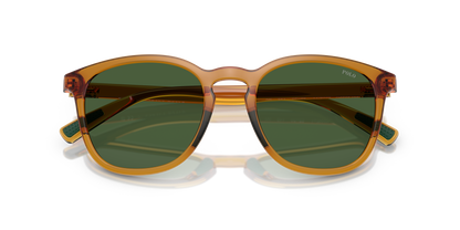 POLO PH4222U 620971 52