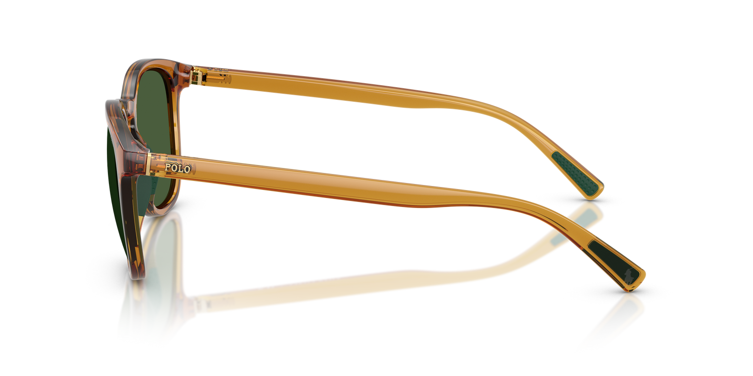 POLO PH4222U 620971 52