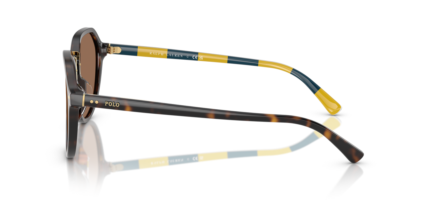 POLO PH4223U 500373 53