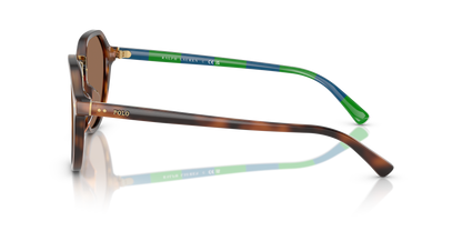 POLO PH4223U 608973 53