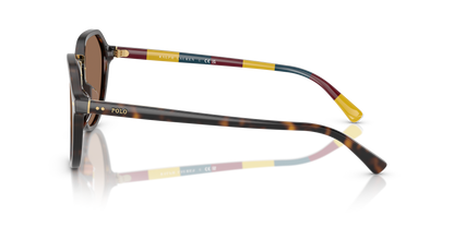 POLO PH4223U 621273 53