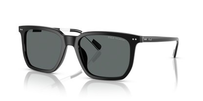 POLO PH4224U 500181 55