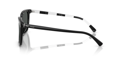 POLO PH4224U 500187 55