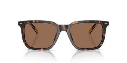 POLO PH4224U 500373 55