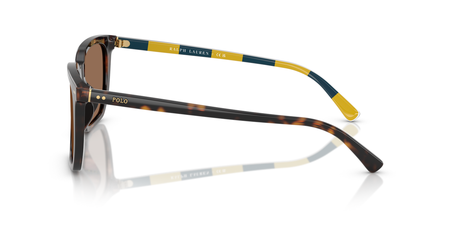 POLO PH4224U 500373 55