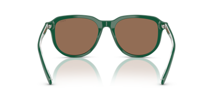 POLO PH4225 542173 53