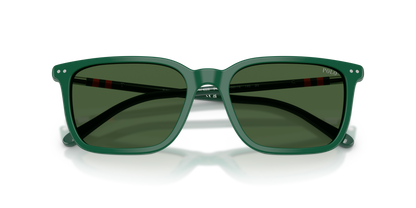 POLO PH4226 542171 56