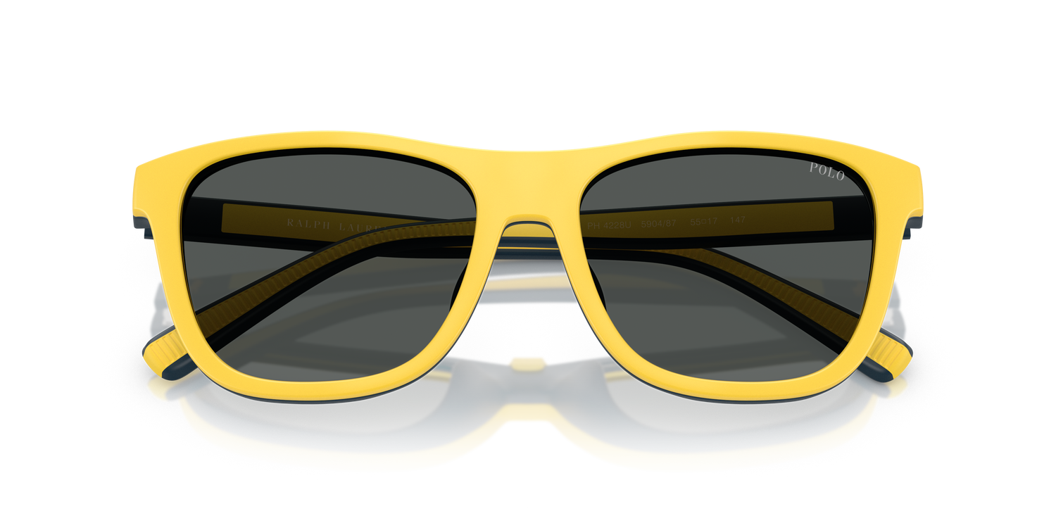 POLO PH4228U 590487 55