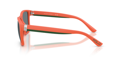 POLO PH4229U 54606G 56