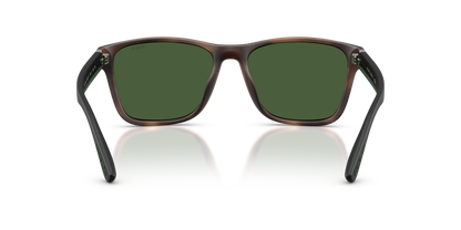 POLO PH4229U 607071 56