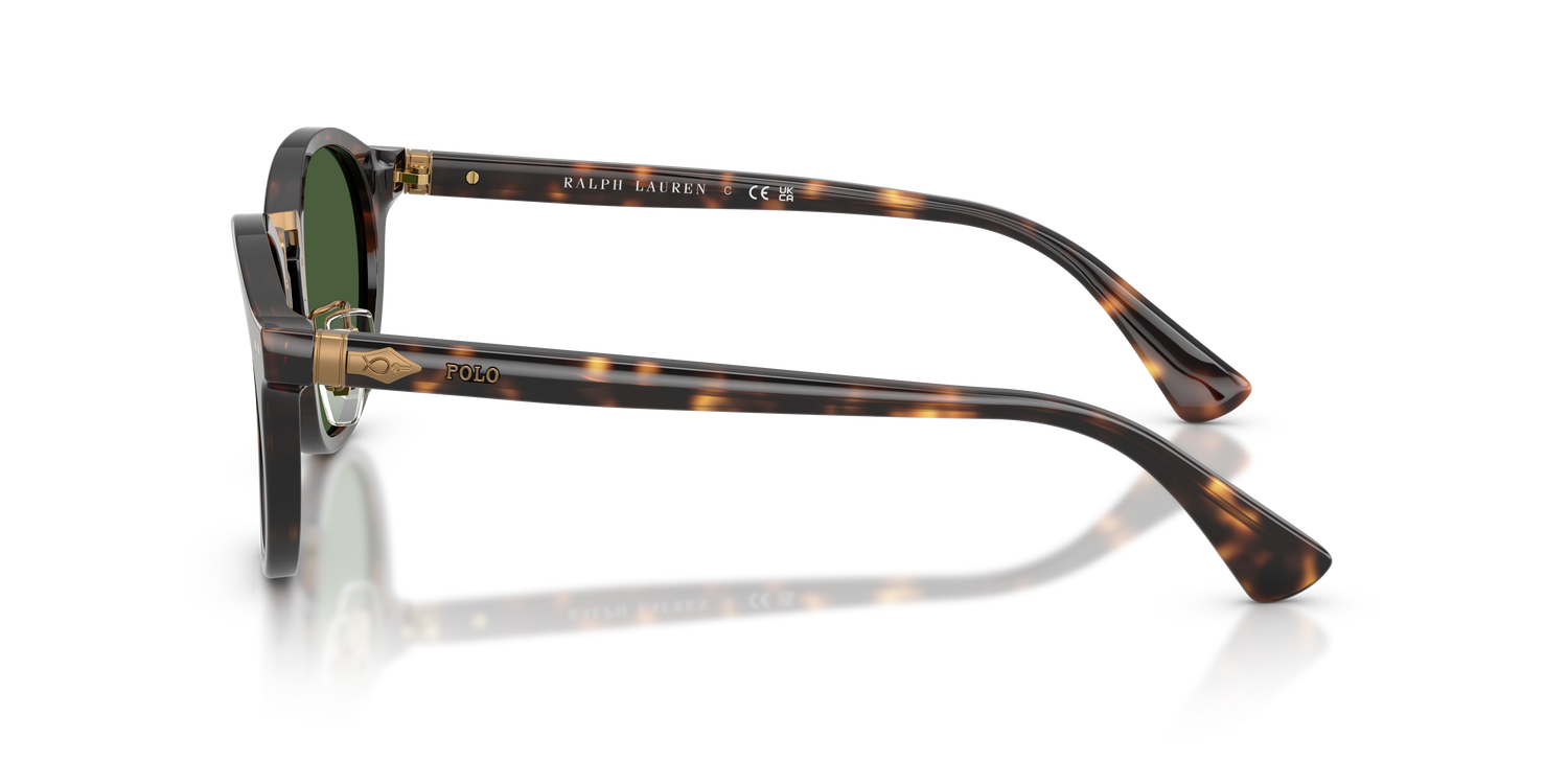 POLO PH4230 500371 50