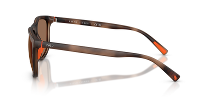 POLO PH4231U 597473 57