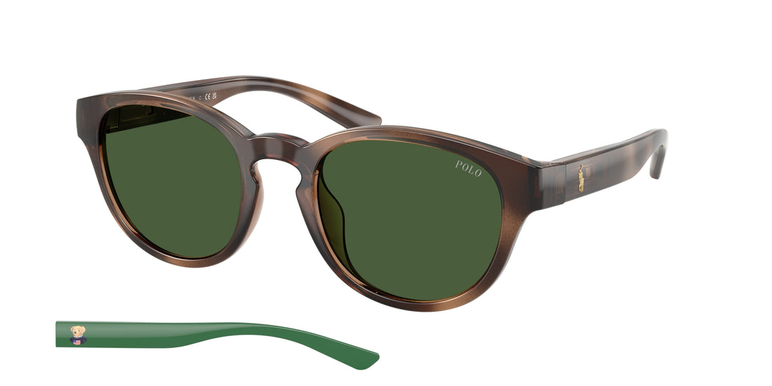 Occhiali da sole polo ph4233u 607071 havana pantos masculino taglia 51mm - Vista principale