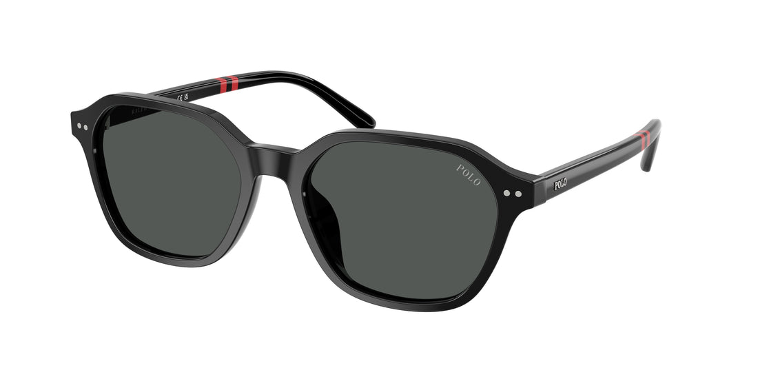 Occhiali da sole polo ph4234u 500187 negro irregular masculino taglia 54mm - Vista principale