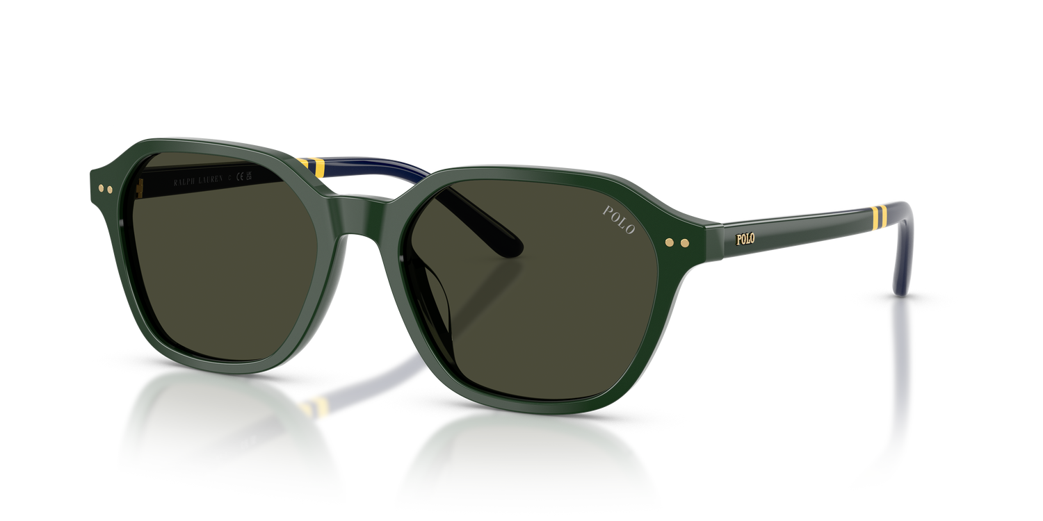 POLO PH4234U 614082 54