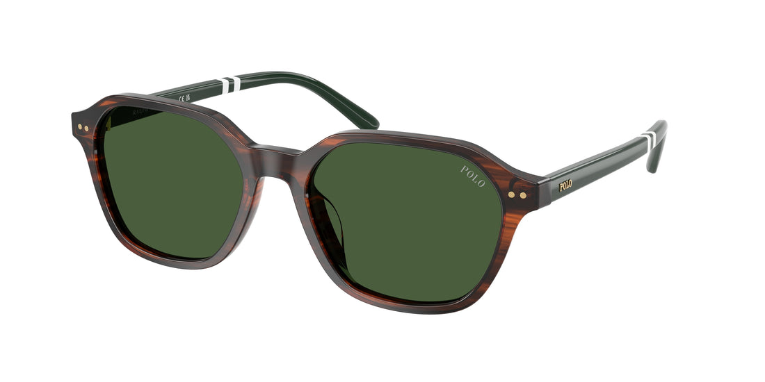 Occhiali da sole polo ph4234u 631571 marron irregular masculino taglia 54mm - Vista principale