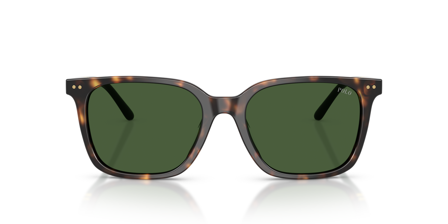 POLO PH4235U 500371 54