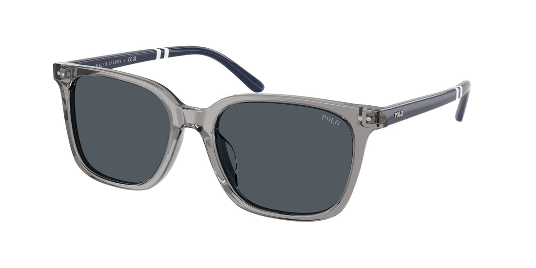 Occhiali da sole polo ph4235u 631887 gris square masculino taglia 54mm - Vista principale