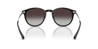 POLO PH4239U 50018G 50