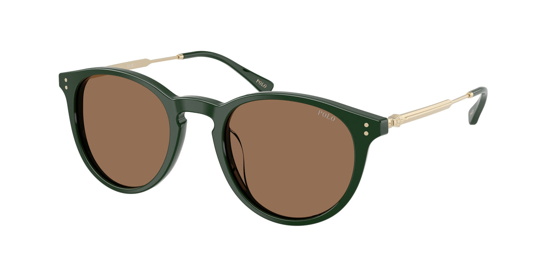 Lunettes de soleil polo ph4239u 614073 verde pantos masculino taille 50mm - Vue principale