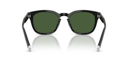 POLO PH4242U 500171 52