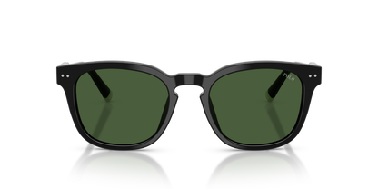 POLO PH4242U 500171 52