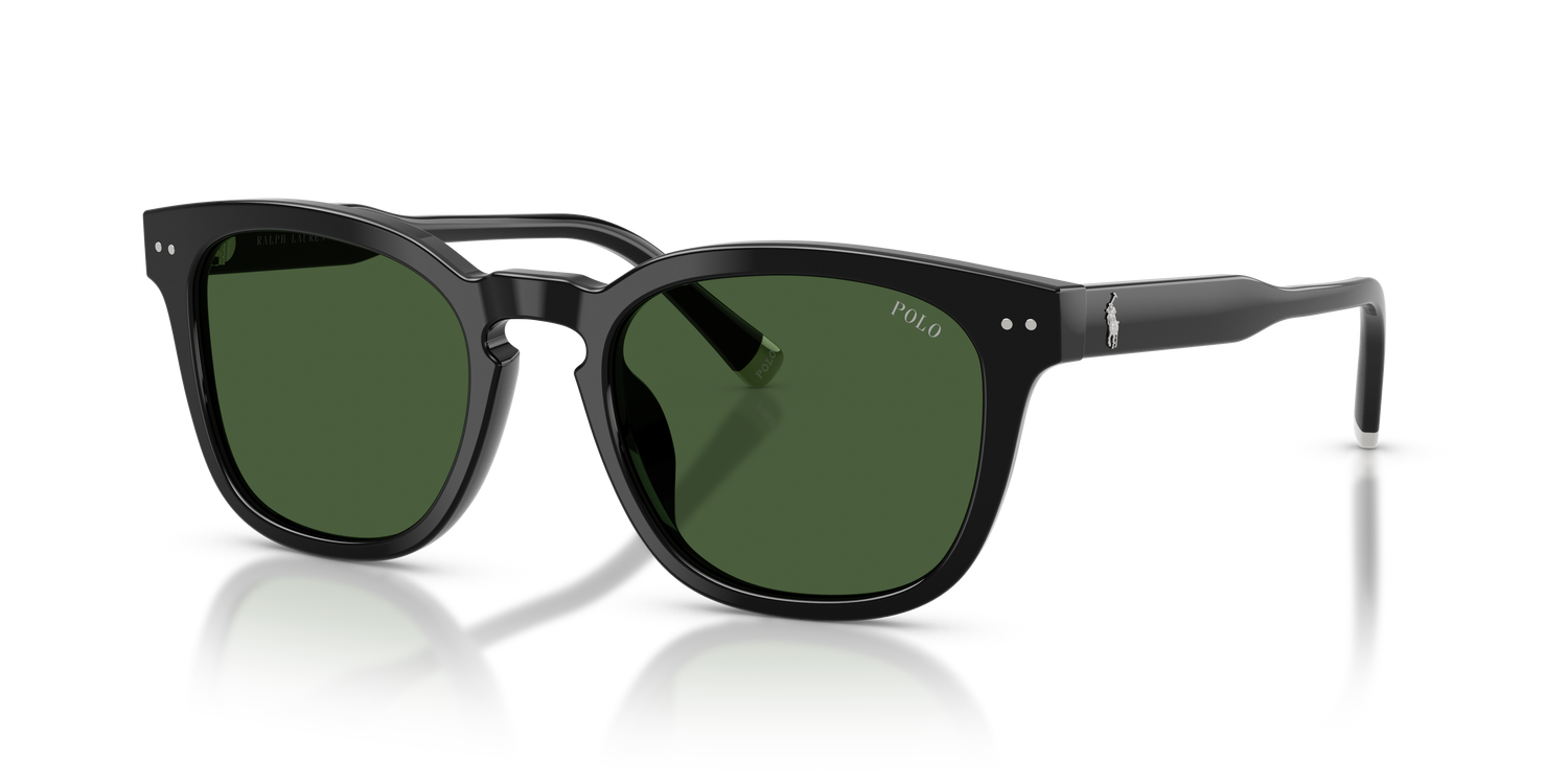 POLO PH4242U 500171 52