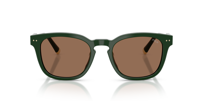 POLO PH4242U 614073 52