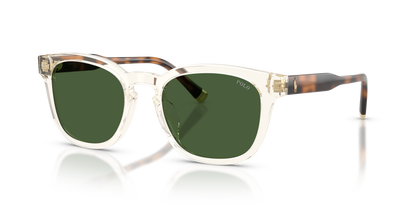 POLO PH4242U 635771 52