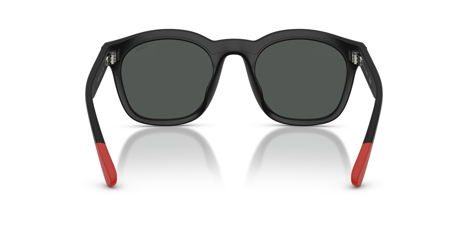 POLO PH4243U 553487 51