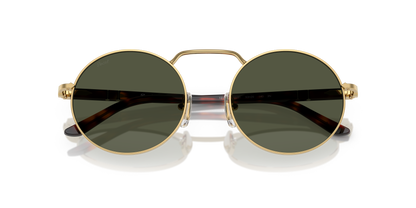 PERSOL PO1019S 515/31 53