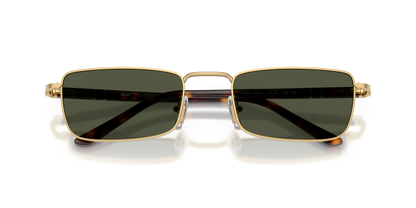 PERSOL PO1025S 515/31 54