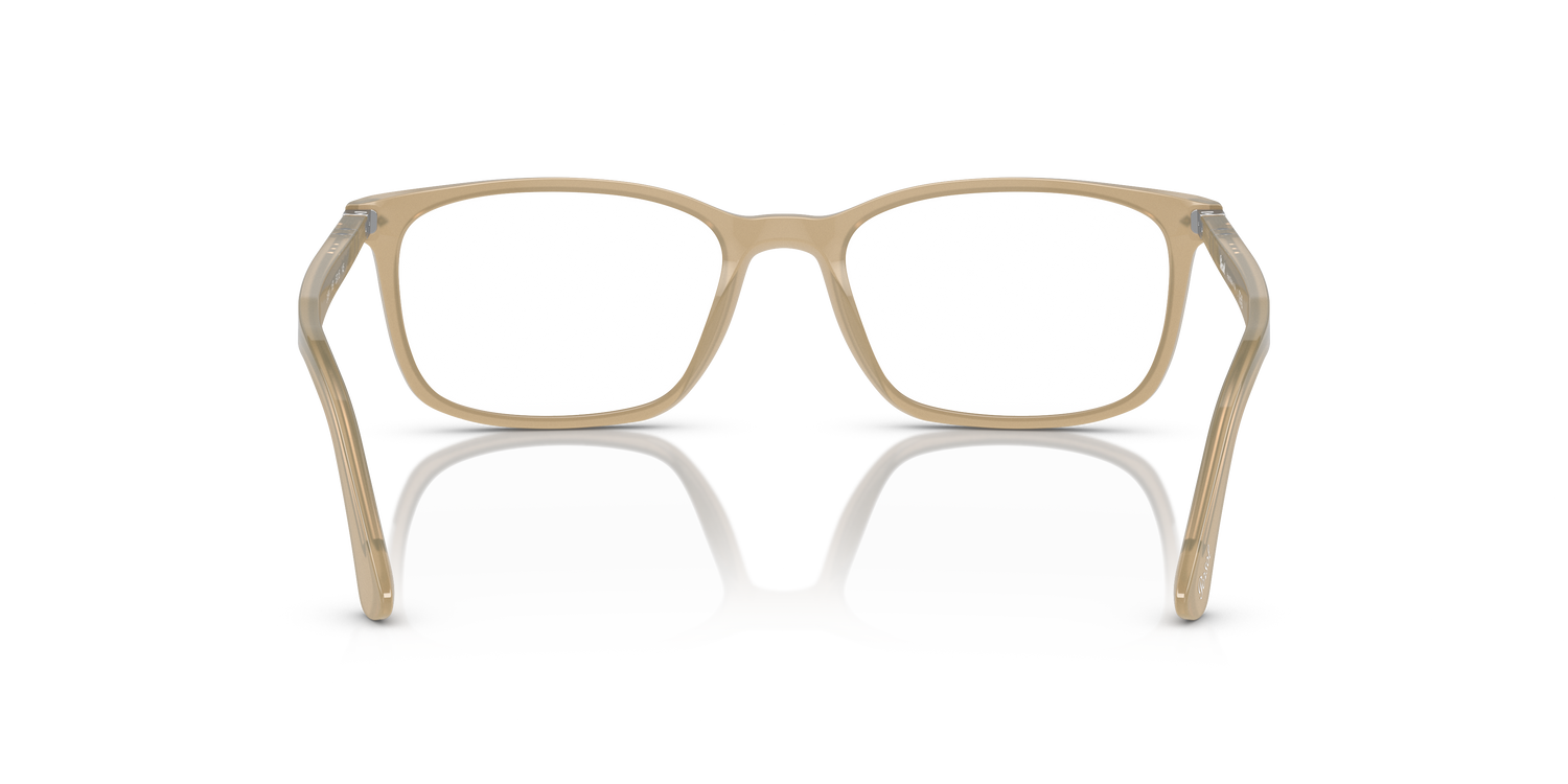 PERSOL PO3189V 1169 53