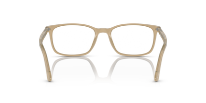 PERSOL PO3189V 1169 55