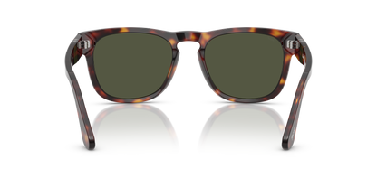 PERSOL PO3333S ELIO 24/31 54