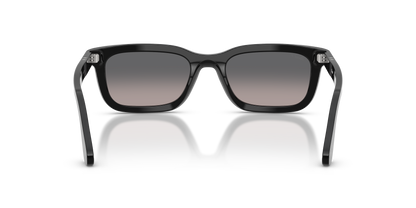 PERSOL PO3396S 95/M3 53